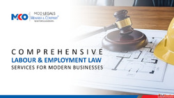 Comprehensive Labour Employment Law Services for Modern Busi...