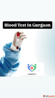Book Blood Tests in Gurgaon Labofy