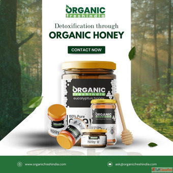 Sunflower Honey Nature's Golden Elixir for Immunity Energy