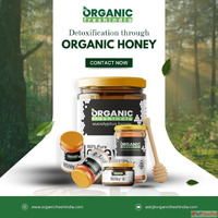 Sunflower Honey Nature's Golden Elixir for Immunity Ene...