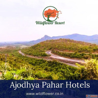 ajodhya pahar hotels