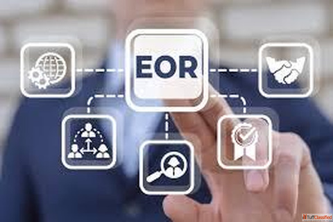 List of EOR services in India