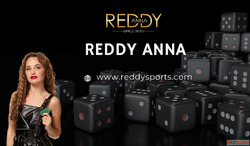 Join the Action with Reddy Anna Book - Your Go-To Online Gam...
