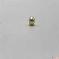 Moti Gemstone - Gateway to Peace Prosperity