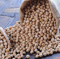 Buy Kabuli Chickpeas Directly from Supplier