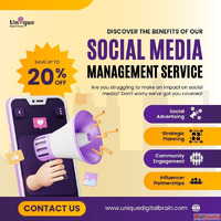 Affordable Social Media Marketing for Startups - Unique Digi...
