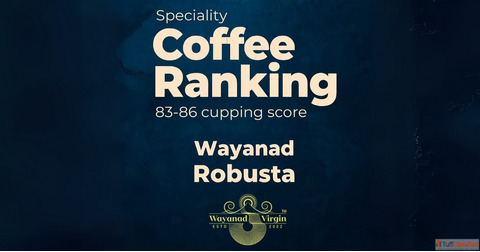 Premium Robusta Coffee - From Wayanad Kerala