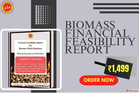 Financial Feasibility Report for Biomass Energy Projects