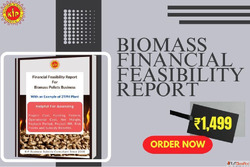 Financial Feasibility Report for Biomass Energy Projects
