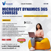 Dynamics 365 Training Program with Real-Time Experts Visualp...