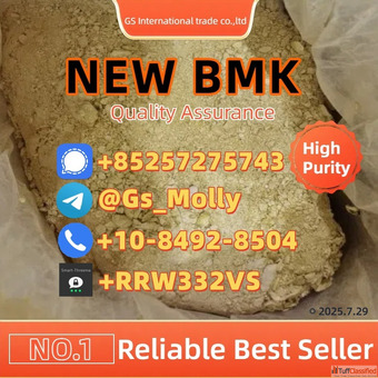 BMK Glycidate Powder CAS 20320-59-6 For Research Use Only GCMS Verified