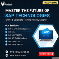 Step Into the Future of SAP with Visualpath