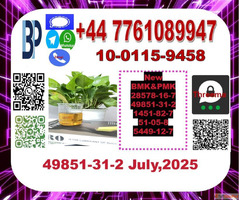 CAS 49851-31-2 2-Bromovalerophenone CAS28578-16-7676-39-5136...