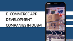 Real Estate Mobile App Development Company