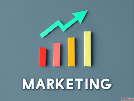 Marketing Trends In Probiotics For The Food And Beverage Market