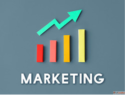 Marketing Trends In Probiotics For The Food And Beverage Mar...