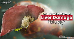 Top Herbs Used in Ayurvedic Liver Detox Medicines