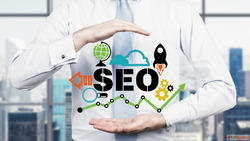 Best SEO Marketing Firm in Chandigarh Wildnet Technologies