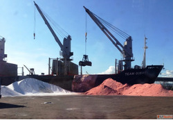 Stevedoring and Cargo Handling - Ripley Group