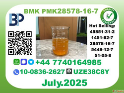BMK PMK Chemicals Factory CAS 28578-16-7 Stable Stock Best Q...