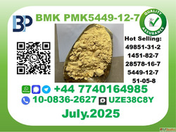 BMK PMK Chemicals Factory CAS 5449-12-7 Stable Stock Best Qu...