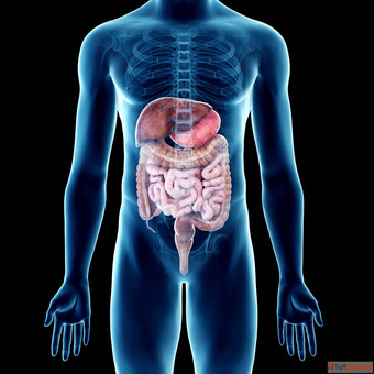 Best Gastrointestinal Surgeon in India Expert in Advanced GI Surgery