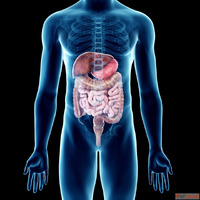 Best Gastrointestinal Surgeon in India Expert in Advanced GI...