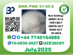 BMK PMK Chemicals Factory CAS 51-05-8 Stable Stock Best Qual...