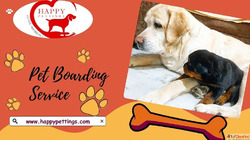 Boarding for Pets in Gurgaon-happypettings