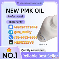 High-Grade P M K Oil CAS 28578-16-7 Trusted Chemical Supplie...