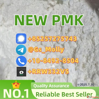 Hot Sale PMK Powder CAS 28578-16-7 CAS 13605-48-6 Fast Shipping