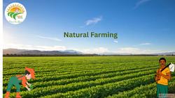 Natural Farming Uncovered The Eco-Revolution Transforming Ag...