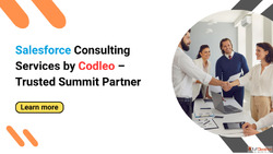 Expert Salesforce Consulting Services by Codleo