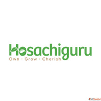 Sandalwood Cultivation - Hosachiguru