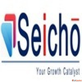 Leadership Lean Training Seicho Consulting