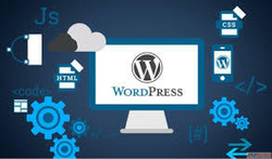 Scalable Custom WordPress Development Company in India