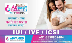 How to Ensure the Best Support for Your Pregnancy Journey in...