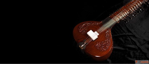 Master Zitar Maker in Delhi - Crafting Musical Excellence