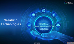 Digital Transformation Services for All Businesses - Wealwin