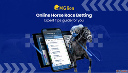 Online Horse Race Betting Expert Tips guide for you