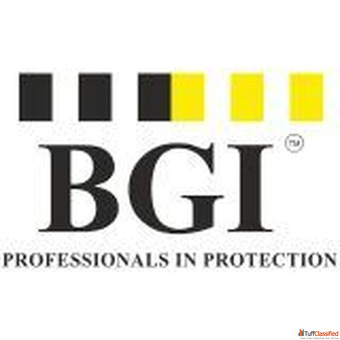 BGI Engitech Pvt. Ltd Bollards Barriers Security Gates in India