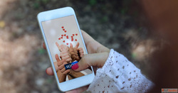 Boost Your Digital Presence with the Best SMM Panel in India