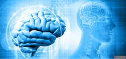 Best Neurosurgeon in Noida