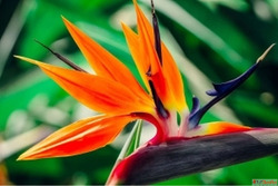 NEW Christian Inspirations On YouTube - Great For Meditation...
