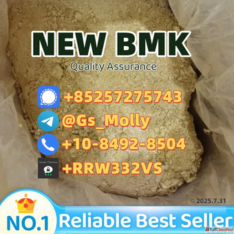 New B M K Glycidate CAS 5413-05-8 - Top Supplier Bulk Discounts Fast Shipping