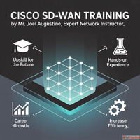 Cisco Sd Wan Training