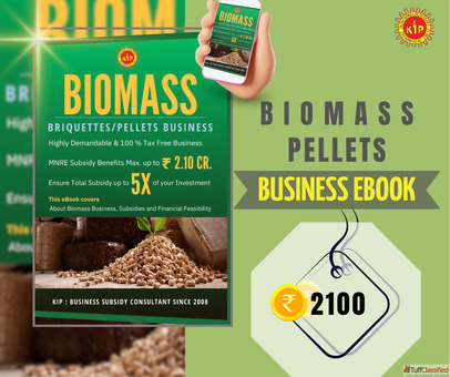 Start a Biomass Pellet Plant Cost IRR Subsidy Insights
