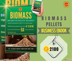 Start a Biomass Pellet Plant Cost IRR Subsidy Insights