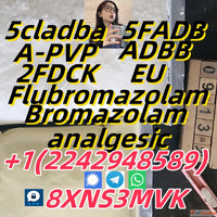 best service CAS 71368-80-4 Bromazolam R6890 3222-88-6 BDPC ...