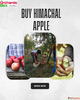 Buy Himachal Apple - Authentic Apples from Himalayan Orchard...